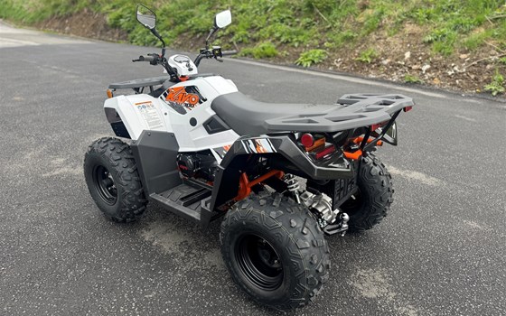 Neufahrzeug Kayo A 300 - Bild 12