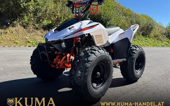 Neufahrzeug Kayo Fox 70 - Bild 1