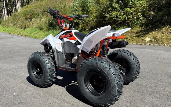 Neufahrzeug Kayo Fox 70 - Bild 5