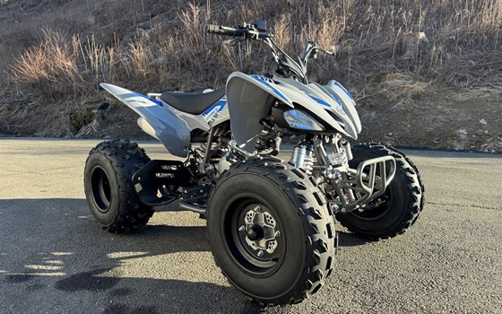 Neufahrzeug Mikilon Pentora ATV 250 - Bild 2