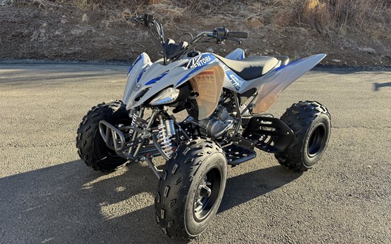 Neufahrzeug Mikilon Pentora ATV 250 - Bild 7