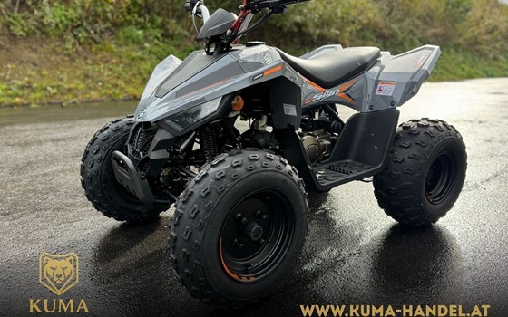 Neufahrzeug Sportiva Kids 110 - Bild 1