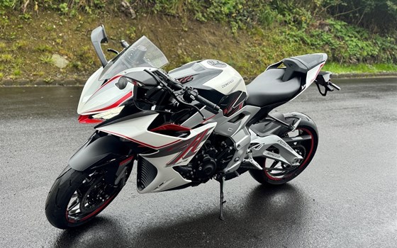 Neufahrzeug Zontes 703-RR - Bild 14