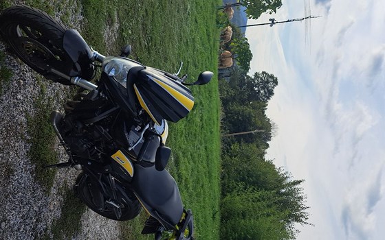 Gebrauchtmotorrad Honda CB 600 F Hornet - Bild 2