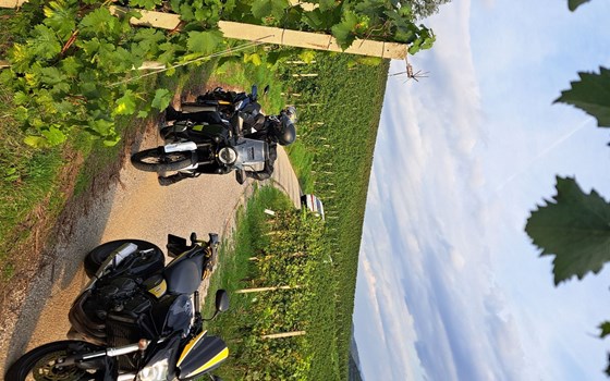 Gebrauchtmotorrad Honda CB 600 F Hornet - Bild 3