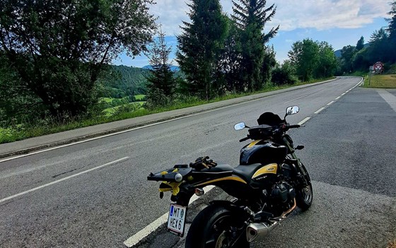 Gebrauchtmotorrad Honda CB 600 F Hornet - Bild 4