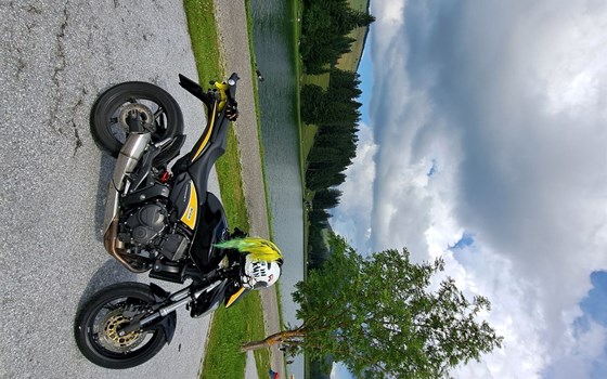 Gebrauchtmotorrad Honda CB 600 F Hornet - Bild 5