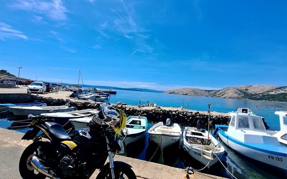 Gebrauchtmotorrad Honda CB 600 F Hornet - Bild 6