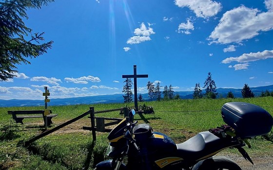 Gebrauchtmotorrad Honda CB 600 F Hornet - Bild 8