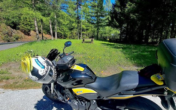 Gebrauchtmotorrad Honda CB 600 F Hornet - Bild 9