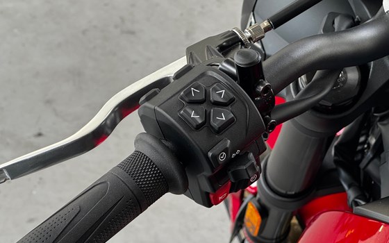 Neufahrzeug Triumph Trident 800 - Bild 10