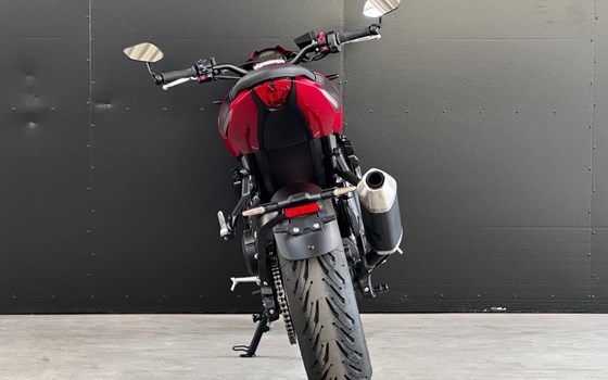 Neufahrzeug Triumph Trident 800 - Bild 4