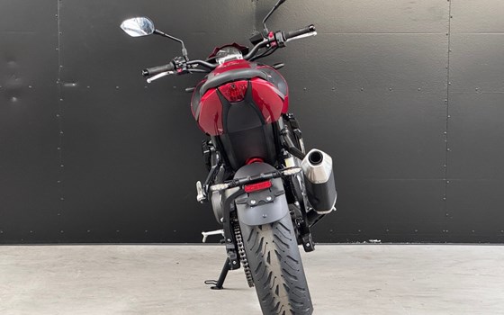 Neufahrzeug Triumph Trident 800 - Bild 4