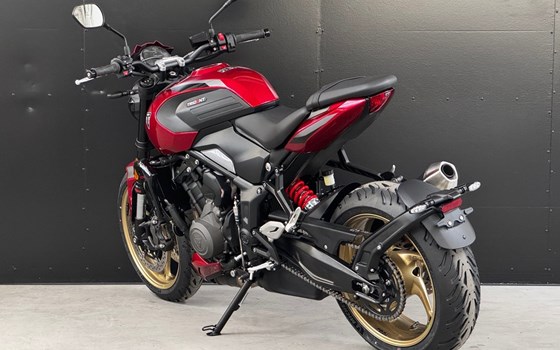 Neufahrzeug Triumph Trident 800 - Bild 5