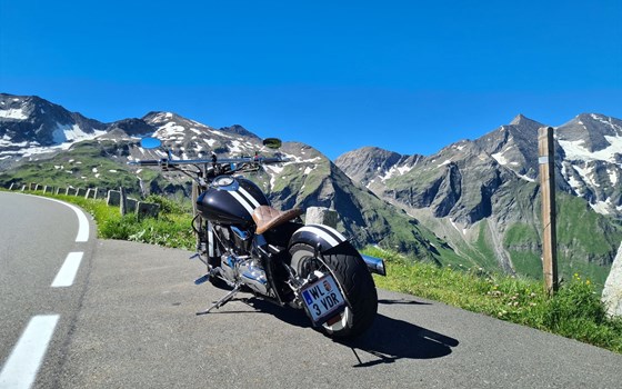 Gebrauchtmotorrad Yamaha XVS 1100 Drag Star - Bild 2