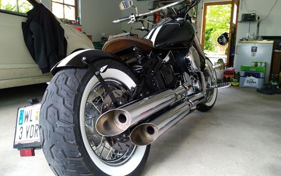 Gebrauchtmotorrad Yamaha XVS 1100 Drag Star - Bild 5