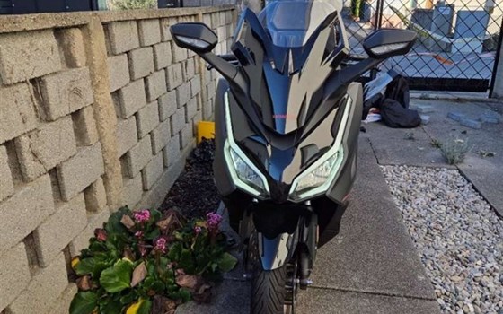 Gebrauchtmotorrad Honda Forza 125 - Bild 2