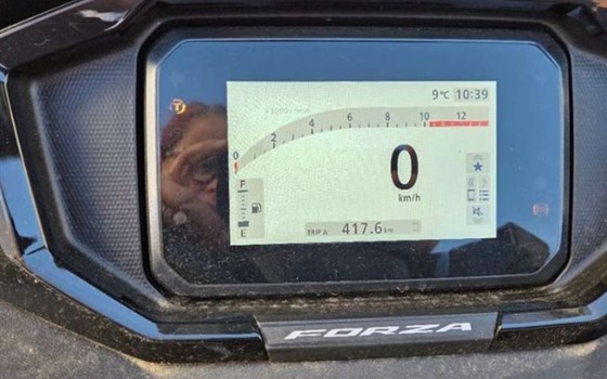 Gebrauchtmotorrad Honda Forza 125 - Bild 7