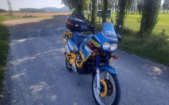 Gebrauchtmotorrad Yamaha XTZ 750 Supertenere - Bild 5