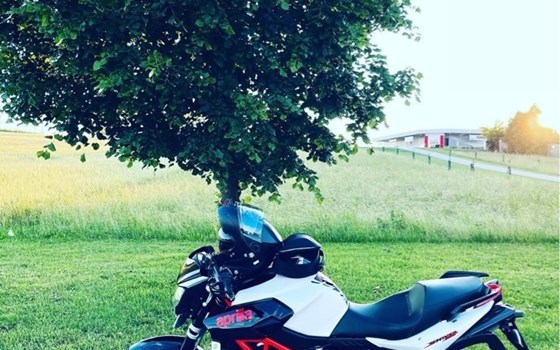 Gebrauchtmotorrad Aprilia Shiver 750 - Bild 2