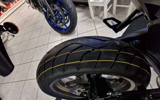 Neufahrzeug Suzuki SV650 - Bild 8