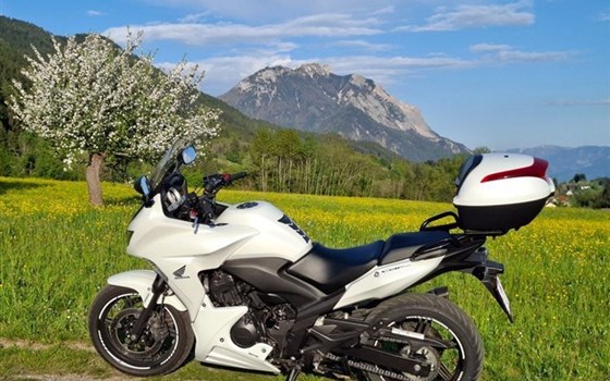 Gebrauchtmotorrad Honda CB1000F - Bild 5