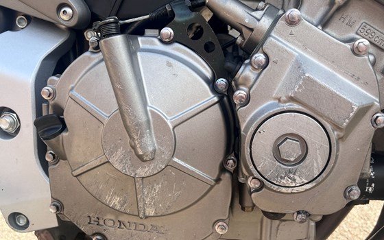 Gebrauchtmotorrad Honda CB 600 F Hornet - Bild 8