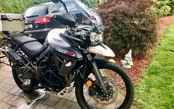 Gebrauchtmotorrad Triumph Tiger 800 XCx - Bild 3