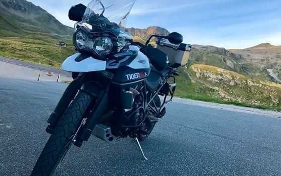 Gebrauchtmotorrad Triumph Tiger 800 XCx - Bild 4