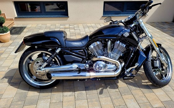 Gebrauchtmotorrad Harley-Davidson V-Rod Muscle VRSCF - Bild 1