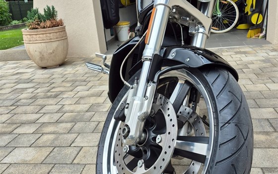 Gebrauchtmotorrad Harley-Davidson V-Rod Muscle VRSCF - Bild 3