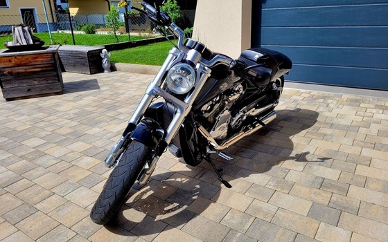 Gebrauchtmotorrad Harley-Davidson V-Rod Muscle VRSCF - Bild 8