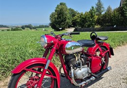 Gebrauchte Puch 250 TF