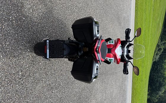 Gebrauchtmotorrad MV Agusta Turismo Veloce 800 - Bild 5