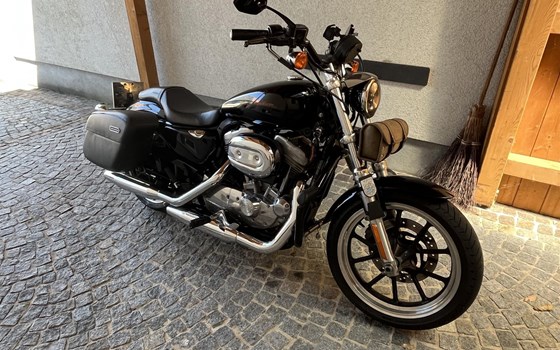 Gebrauchtmotorrad Harley-Davidson Sportster XL 883 N Iron - Bild 13