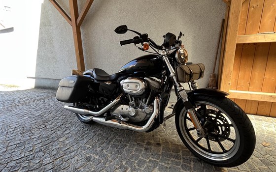 Gebrauchtmotorrad Harley-Davidson Sportster XL 883 N Iron - Bild 5