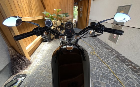 Gebrauchtmotorrad Harley-Davidson Sportster XL 883 N Iron - Bild 9