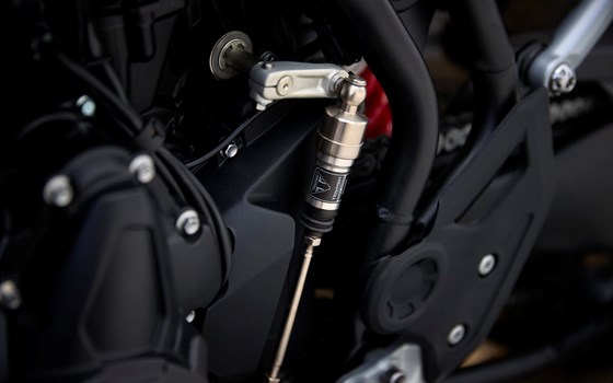 Neufahrzeug Triumph Tiger 900 Alpine Edition - Bild 3