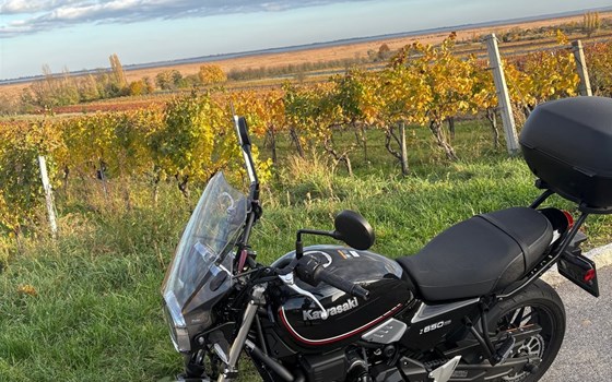 Gebrauchtmotorrad Kawasaki Z650 RS - Bild 1