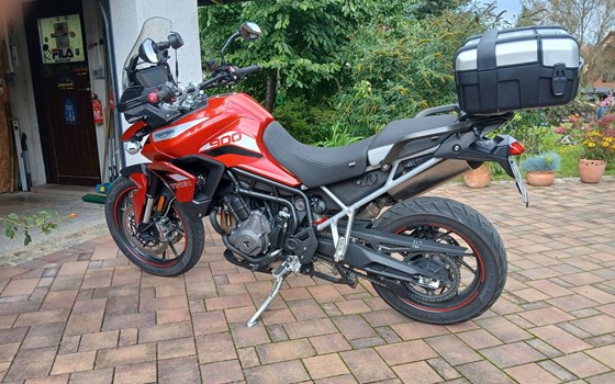 Gebrauchtmotorrad Triumph Tiger 900 GT Pro - Bild 3