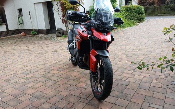 Gebrauchtmotorrad Triumph Tiger 900 GT Pro - Bild 4