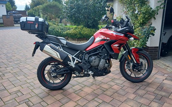 Gebrauchtmotorrad Triumph Tiger 900 GT Pro - Bild 5