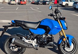 Gebrauchte Honda MSX125 Grom