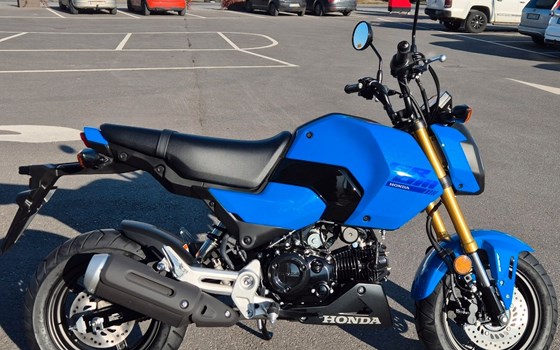 Gebrauchtmotorrad Honda MSX125 Grom - Bild 1