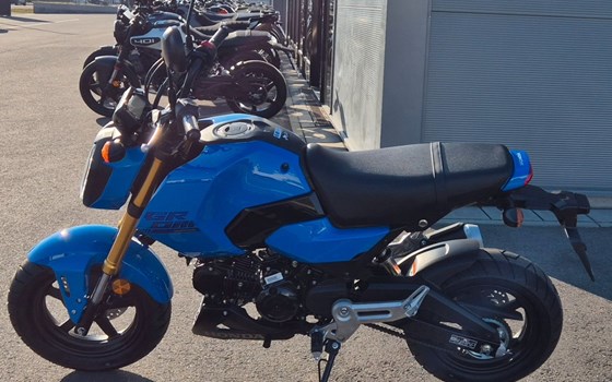 Gebrauchtmotorrad Honda MSX125 Grom - Bild 4