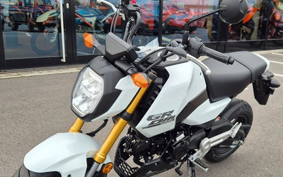 Gebrauchtmotorrad Honda MSX125 Grom - Bild 5