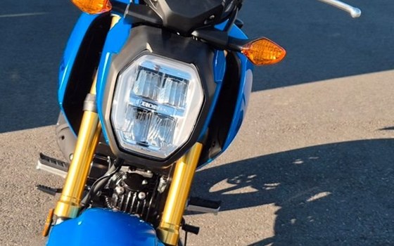 Gebrauchtmotorrad Honda MSX125 Grom - Bild 6