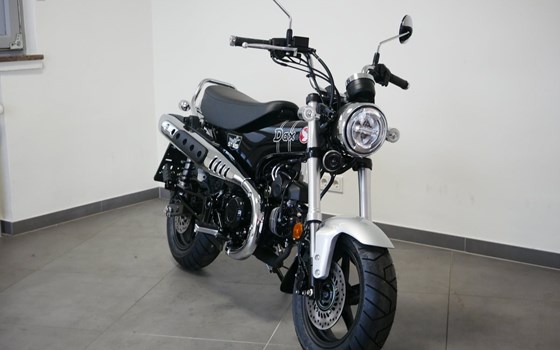 Neufahrzeug Honda Dax 125 - Bild 3