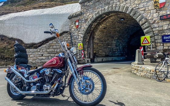 Gebrauchtmotorrad Harley-Davidson Softail Springer FXSTS - Bild 4