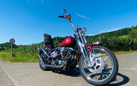 Gebrauchtmotorrad Harley-Davidson Softail Springer FXSTS - Bild 1